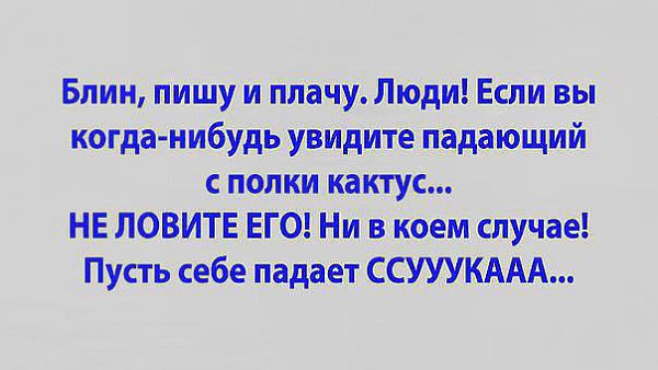   - 3  2016  19:05