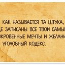 ���� �����, �������, 44 ���� - ��������� 23 ������� 2015 � ������ ������ ��������