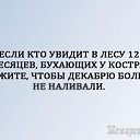 ���� ������, ������������, 66 ��� - ��������� 29 ������� 2015 � ������ ������ ��������