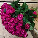 ���� Irina, ������ - ��������� 24 ������� 2016 � ������ ������