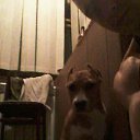 ���� ��������, ���������, 41 ��� - ��������� 17 ������� 2016