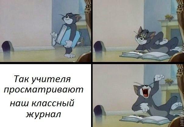 Мем с котом томом