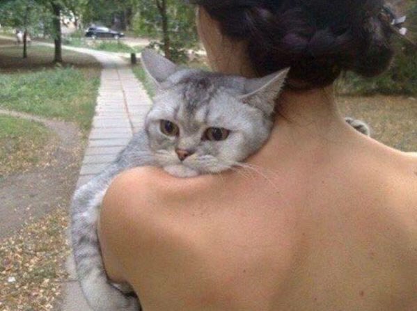 Когда сильно любишь её, но отношения не клеятся, потому что она человек, а ты котик