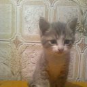 ���� ������, ��������, 50 ��� - ��������� 2 ������� 2015 � ������ ���� ����������