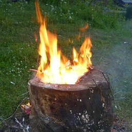 ���� ������, ������, 40 ��� - ��������� 24 ������� 2015