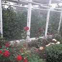 ���� Svetlana, ������, 58 ��� - ��������� 8 ������ 2015 � ������ ���� ����������