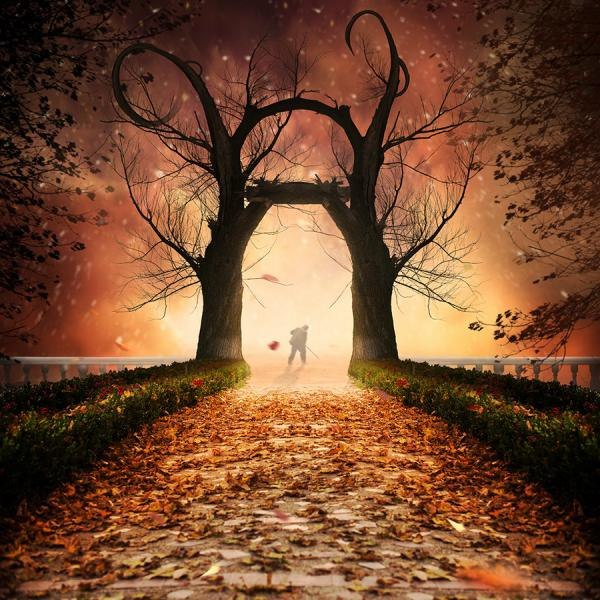    (Caras Ionut)..       ... - 21