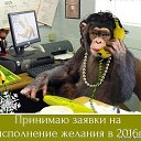 ���� Sania, ������ - ��������� 30 ������� 2015 � ������ ������ ��������