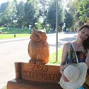 ���� 2015 ������ �� ������� ���� ����������