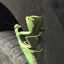 ���� ���, ������, 54 ���� - ��������� 26 �������� 2015 � ������ ���� ����������