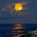  ******, , 53  -  14  2015   