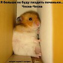 ���� ���������, ����������� - ��������� 22 ������� 2016 � ������ ���� ����������