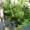 ���� �����, �����-���������, 51 ��� - ��������� 20 ������� 2016 � ������ ��� �������