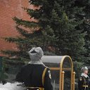 ���� �������, ������ - ��������� 6 ����� 2016 � ������ ���� ����������