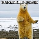 ���� �����, ����������� - ��������� 2 ����� 2016 � ������ ���� ����������