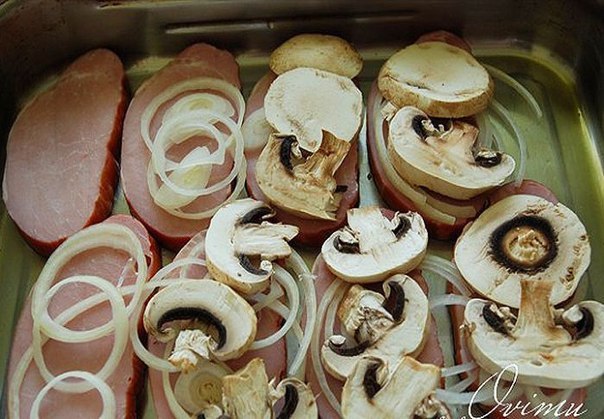 ���� ��� ��������. ��� �����������: ������� ����� ��������� 1.0 �� ������� ���������������� 1.0 ... - 6