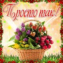 ���� ������, ������� - ��������� 8 ������� 2016 � ������ �������� ��������