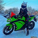 ���� � � � � � � �, ������ - ��������� 13 ������ 2016 � ������ ���� ����������