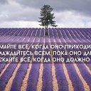 ���� �����, ���� - ��������� 24 ������� 2016 � ������ ������ ��������