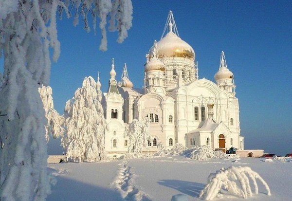 ����������� ������������ ���������, ���� ��������, �������� ����, ������.