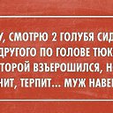 ���� ������, ������� ������, 64 ���� - ��������� 4 ������ 2015 � ������ ������ ��������