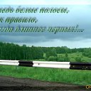 ���� Sergey, �����������, 42 ���� - ��������� 8 ������ 2015 � ������ ������