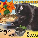 ���� �������, ���������� - ��������� 10 ����� 2016 � ������ ������ ��������