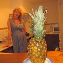 ���� ������� ��������, ����� - ��������� 5 ������� 2015