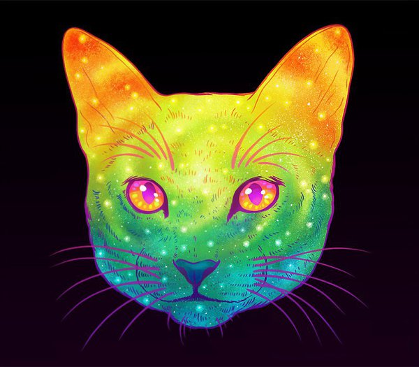 Galactic Cat.by Jen Bartel - 2