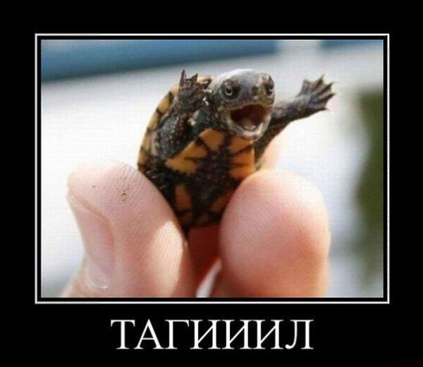 ������������ - 4 ������� 2016 � 10:22