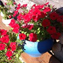 ���� �����, ������ - ��������� 4 ������� 2015 � ������ ������ ��������