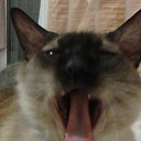 ���� ������, ���������, 45 ��� - ��������� 11 ������ 2016 � ������ ������