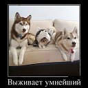 ���� �����, ������, 44 ���� - ��������� 29 ������ 2016 � ������ ���� ����������