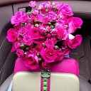 ���� �����, ������, 31 ��� - ��������� 1 ������� 2015 � ������ ���� ����������