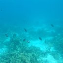  , -, 42  -  2  2015   , 2015 ()