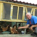 ���� ������, ����������, 81 ��� - ��������� 18 ������� 2015 � ������ �2015�