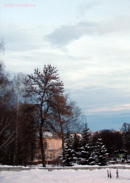 dipi-avatarka - 20  2016  10:49