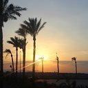 ���� �����, �������, 36 ��� - ��������� 9 ������� 2016 � ������ ���� ����������