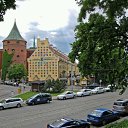 ���� �����, ���� - ��������� 24 ������� 2016 � ������ �FF�