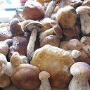 ���� �����, ����, 48 ��� - ��������� 28 ������� 2016 � ������ ���� ����