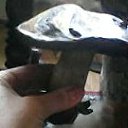 ���� �����, ����, 54 ���� - ��������� 22 ������� 2015 � ������ ������ ��������