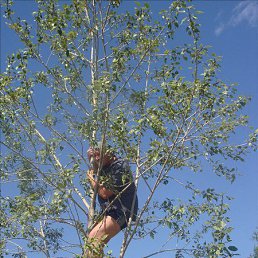 ����, ��������, 53 ����