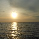 �����.������� 2015�. �� ������� ���� ����������