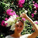   -  !), -, 53  -  8  2016     !