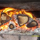 ���� �������, �����-���������, 46 ��� - ��������� 10 ������ 2016 � ������ ���� ����������