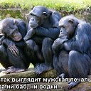 ���� ��������, �����������, 56 ��� - ��������� 17 ������� 2016 � ������ ������ ��������