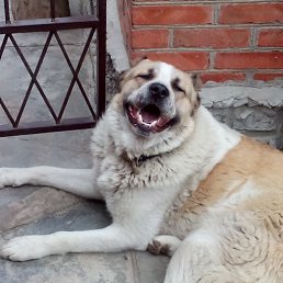 ���� ���������, ������-��-����, 50 ��� - ��������� 19 ������� 2016