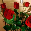 ���� ��������, ������, 48 ��� - ��������� 17 ������� 2015 � ������ ���� ����������