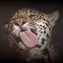 ���� Viktor, ����� - ��������� 29 ������� 2015 � ������ ������ ��������