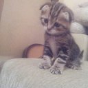 ���� Al, ������������, 57 ��� - ��������� 29 ������� 2016